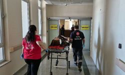 Tütün yüklü römork devrildi: 8 yaralı