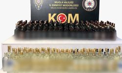 Muğla’da kaçakçılık operasyonlarında 2 milyon liralık vergi kaybı önlendi