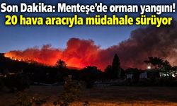 Son Dakika: Menteşe’de orman yangını! 20 hava aracıyla müdahale sürüyor