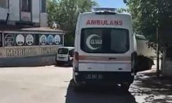 Yolun karşısına geçmek isterken canından oldu