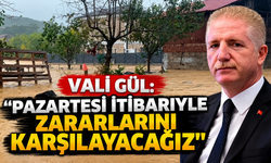 Vali Gül: "Pazartesi itibariyle zararlarını karşılayacağız"