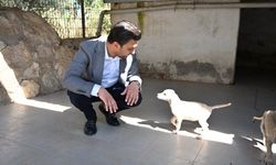 AK Parti Bodrum’dan Torba Hayvan Barınağı’na anlamlı ziyaret