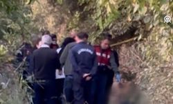 Aydın'da şüpheli ölüm! Koyun otlatmaya giden kişi arazide ölü bulundu