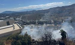 Bodrum’da alevler makilik alana yayıldı