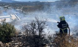 Bodrum'da makilik alanda yangın! Ekiplerin hızlı müdahalesiyle söndürüldü