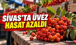 Sivas’ta üvez arzı azaldı: Esnaf dolunun hasadı etkilediğini söyledi