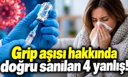 Grip aşısı hakkında doğru sanılan 4 yanlış!