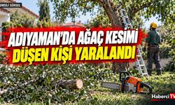 Adıyaman’da ağaç keserken düşen kişi hastaneye kaldırıldı