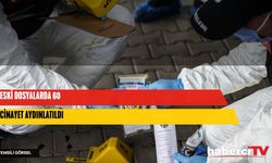 Geçmiş yıllara ait 60 cinayet aydınlatıldı: 35 dosyayı emniyet, 25 dosyayı jandarma çözdü