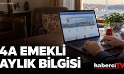4A emekli aylık bilgisi e-Devlet'te nasıl görüntülenir?