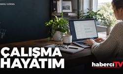 Çalışma Hayatım hizmetine e-Devlet'ten nasıl girilir?