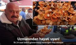 Artan mantar zehirlenmeleriyle ilgili uzmanından önemli uyarılar
