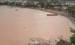Marmaris’te denizin rengi kahverengiye dönüştü