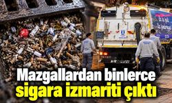 Bodrum’da mazgallardan binlerce sigara izmariti çıktı