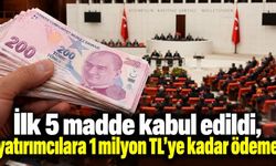 Meclis'te fon düzenlemesi! İlk 5 madde kabul edildi, yatırımcılara 1 milyon TL'ye kadar ödeme