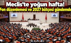 Meclis'te yeni haftada gündem yoğun. Fon teklifi Genel Kurul'a geliyor