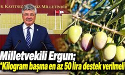 Milletvekili Ergun’dan zeytin üreticileri için 6 maddelik destek çağrısı