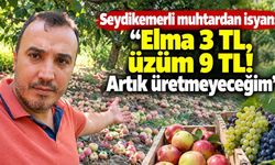 Seydikemerli muhtardan isyan: “Artık üretmeyeceğim”