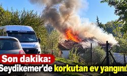 Seydikemer'de korkutan ev yangını! Ev kullanılamaz hale geldi
