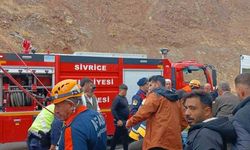 Elazığ’da canlı hayvan taşıyan tır devrildi: 1 yaralı