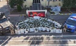 Diyarbakır’da 2 ton 200 kilo esrar ele geçirildi, 3 kişi tutuklandı