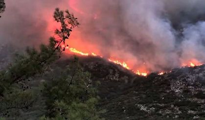 Kaş’taki yangına havadan ve karadan müdahale ediliyor