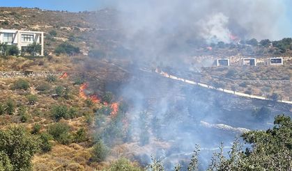 Bodrum Dereköy'de makilik alanda yangın: Havadan ve karadan müdahale sürüyor