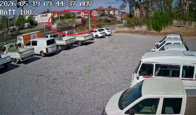 Kamyonun çarptığı yaya hayatını kaybetti