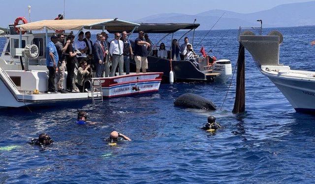 Bodrum'da hayalet ağ ve deniz temizliği yapıldı