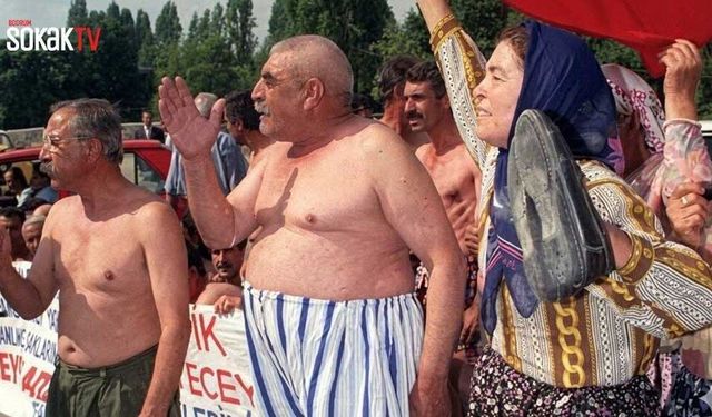 Bergama’dan Karadeniz’e, Akbelen’den Deştin’e Türkiye’de çevre mücadelesinin rotası…