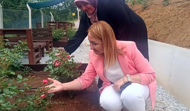Bu bahçede 40 renkte gül yetişiyor