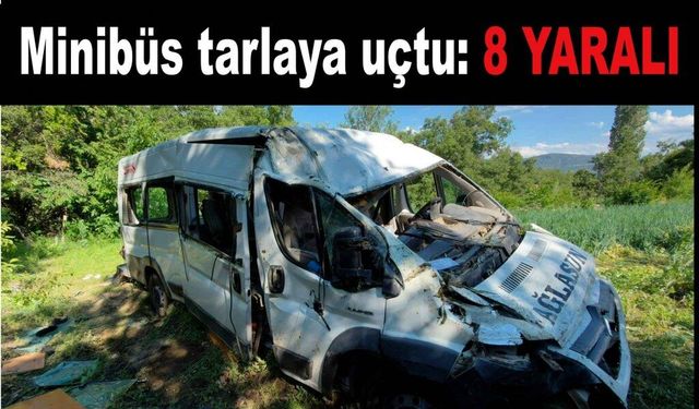 Minibüs tarlaya uçtu: 8 yaralı