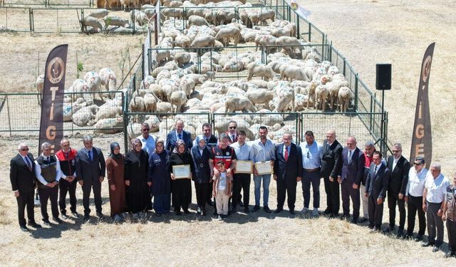 Proje kapsamında ilk hayvanlar sahiplerine teslim edildi