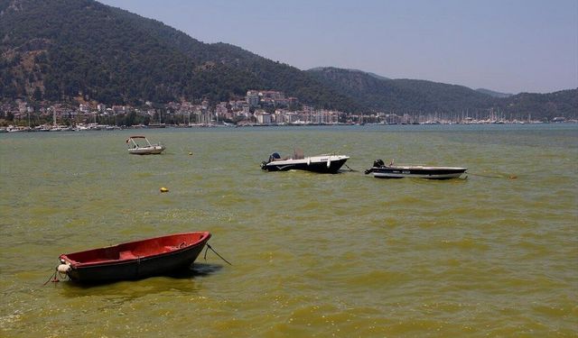 Milletvekili Ergun’dan Fethiye Körfezi çağrısı