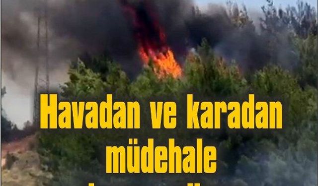 Zirai alanda başlayan yangın ormana sıçradı, söndürme çalışmaları sürüyor