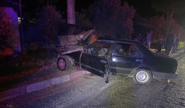 Sokak Köpeği Kazaya Neden Oldu: 1'i Ağır 2 Yaralı
