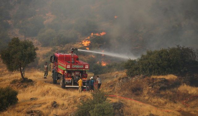 Orman yangınları ile amansız mücadele. Söndürülen yangın yine alevlendi