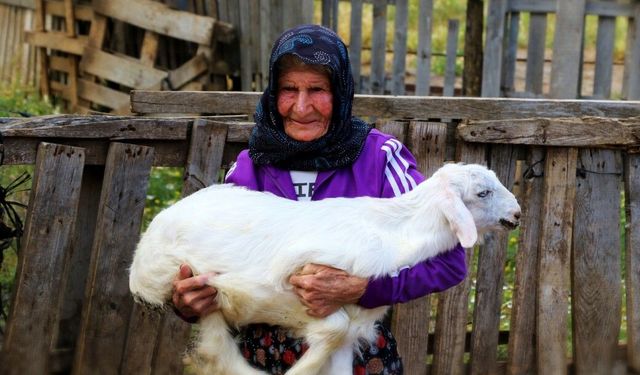 Emine Nine: 94 yaşında, 90 yıldır keçileriyle dağlarda