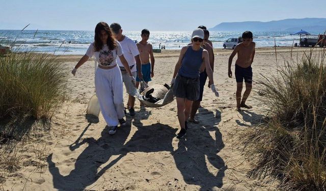 3 caretta caretta sahilde ölü bulundu