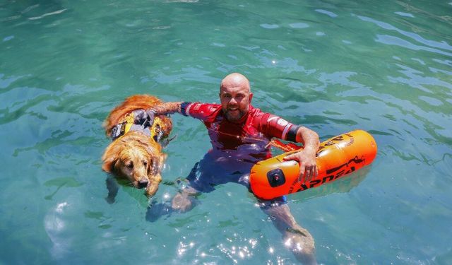 K9 köpeği Zeyna cankurtaranlara destek oluyor