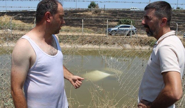 Anne ile iki çocuğu ölümle burun buruna geldi