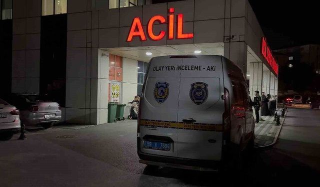 Tomruk yüklerken kamyondan düştü: Hayatını kaybetti