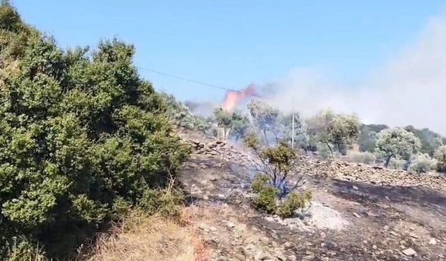 Zirai alanda yangın karadan ve havadan müdahale ediliyor