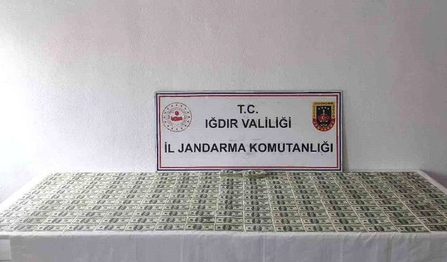Piyasaya sürmek istediler! 2.5 milyonluk sahte dolarla yakalandılar