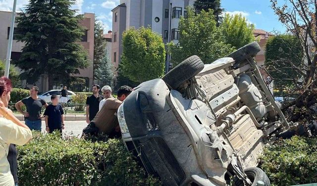 Araç, çarptığı ağacı devirip takla attı