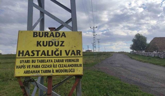 Kuduz nedeniyle mahalleye giriş çıkışlar yasaklandı