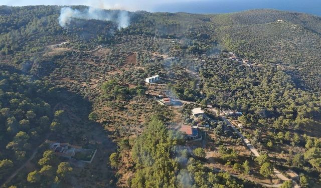 Kaş'ta orman yangını, müdahale sürüyor
