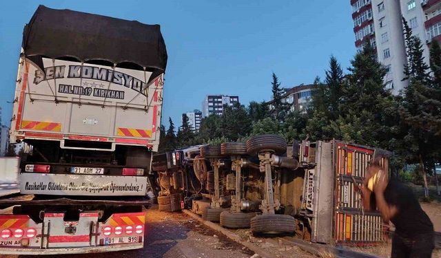7 ayda 1197 kişi öldü, 227 bin 461 kişi yaralandı