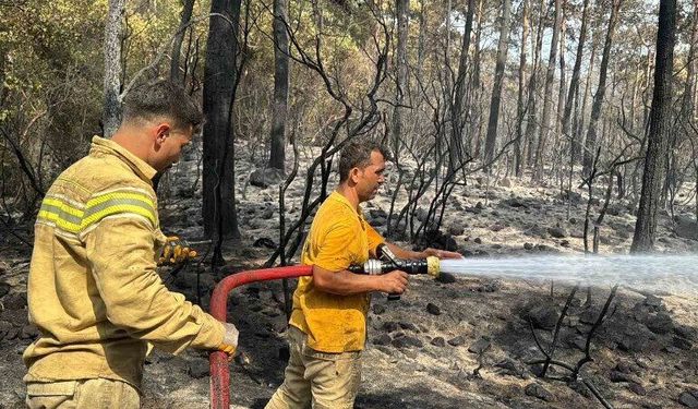 Marmaris Kaymakamlığı’ndan yangın ekiplerine teşekkür
