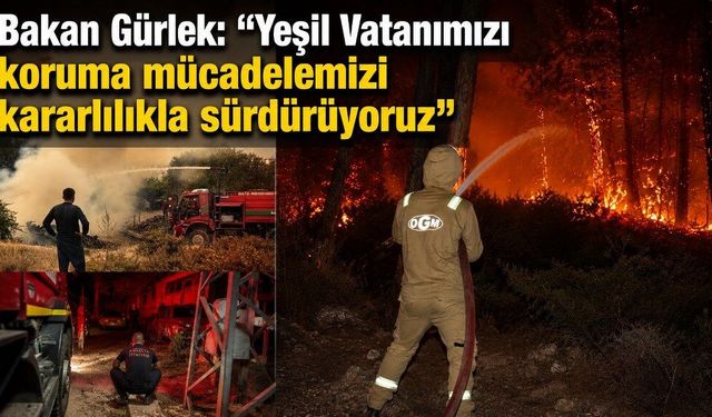Bakan Gürlek açıkladı: ‘97 orman yangınında 69 şüpheli, 15 tutuklama’